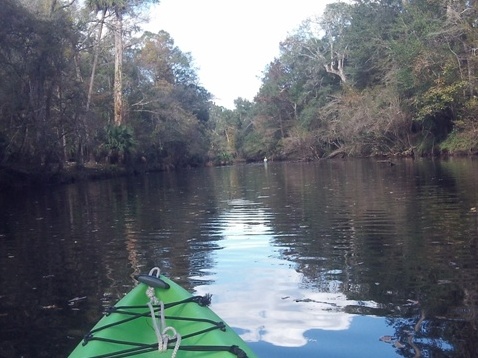 paddling Steinhatchee River