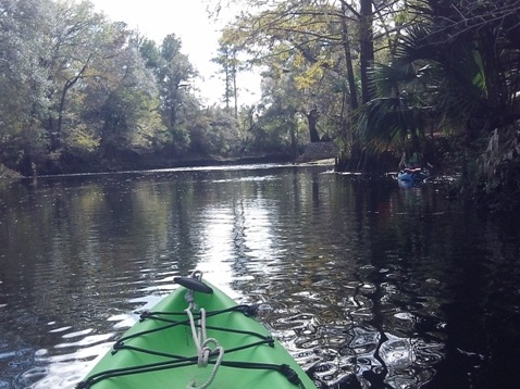 paddling Steinhatchee River