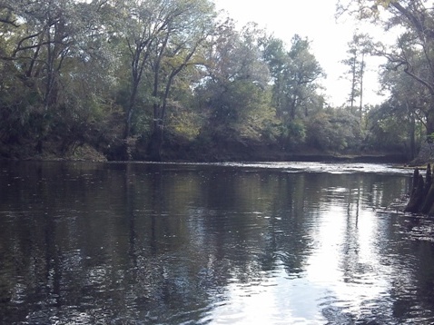 paddling Steinhatchee River