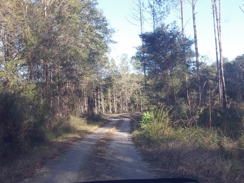 paddling Steinhatchee River