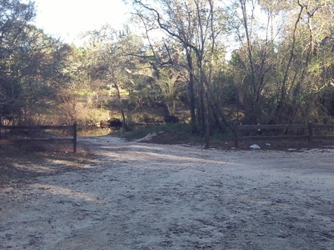 paddling Steinhatchee River