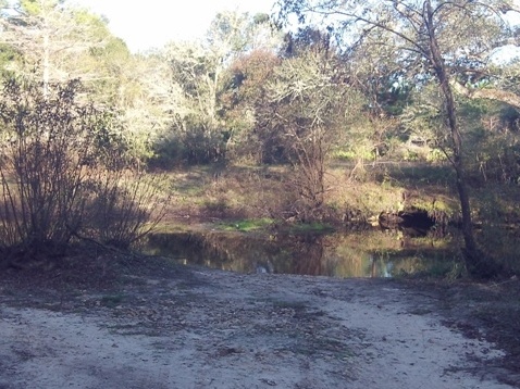 paddling Steinhatchee River