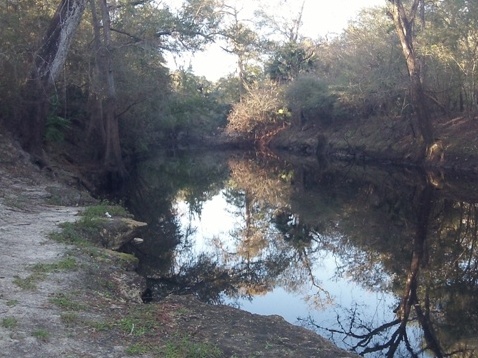 paddling Steinhatchee River