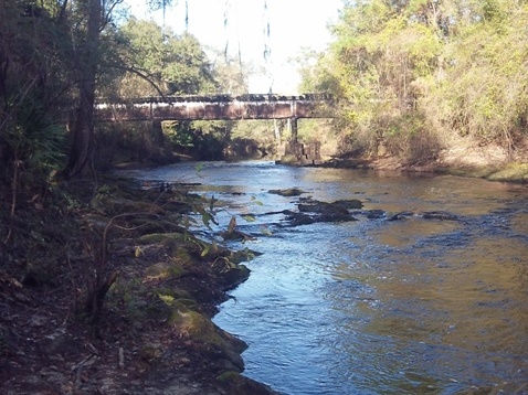 paddling Steinhatchee River