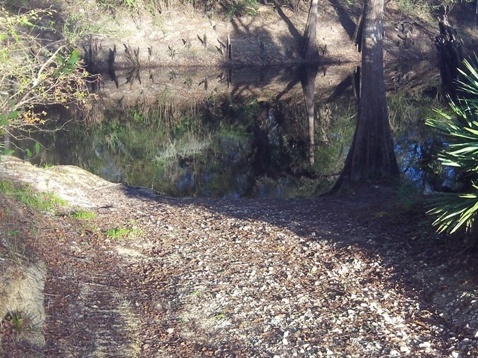 paddling Steinhatchee River