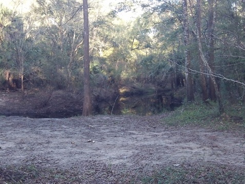 paddling Steinhatchee River