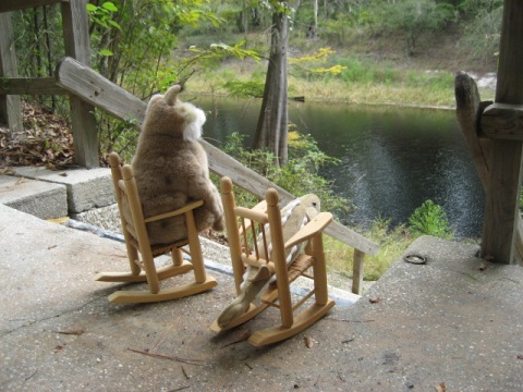 Paddle Suwannee River