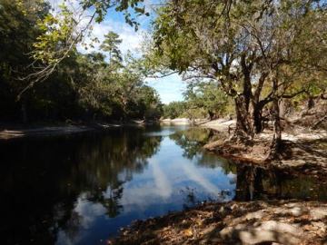 paddle Suwannee River, kayak, canoe