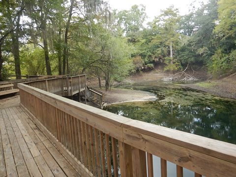 paddling Suwannee River, Ivey Park Branford