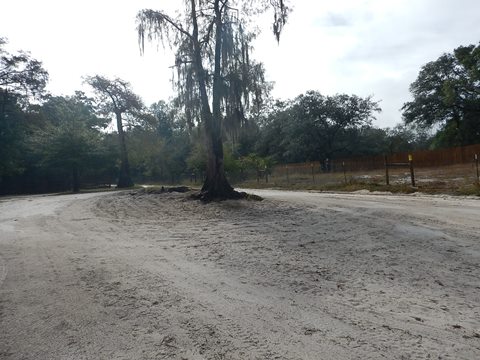 paddling Suwannee River, Suwannee/Santa Fe Boat Ramp