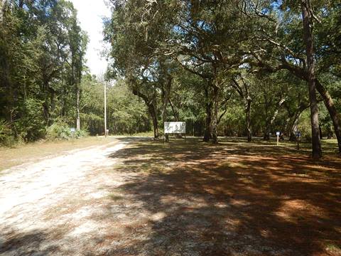 paddling Suwannee River, Hurst Boat Ramp