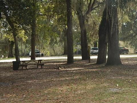 paddling Suwannee River, Gornto Spring Boat Ramp