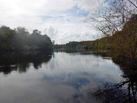 paddling Suwannee River, Wannee Landing