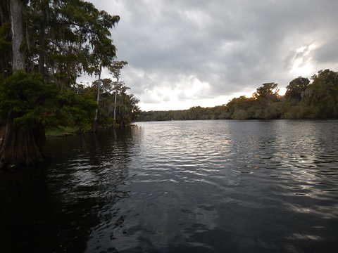 paddling Suwannee River, Hart Spring