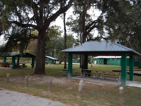 paddling Suwannee River, Hart Spring