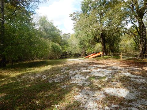 paddling Suwannee River, Otter Springs