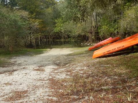 paddling Suwannee River, Otter Springs