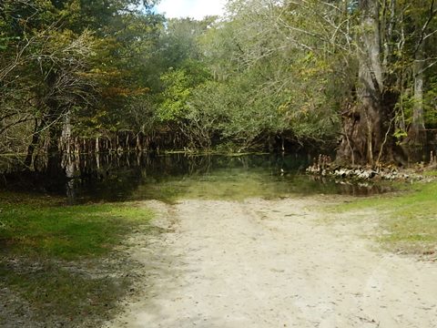 paddling Suwannee River, Otter Springs