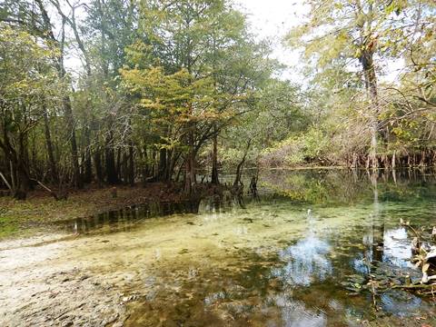 paddling Suwannee River, Otter Springs