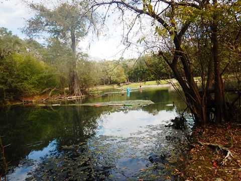 paddling Suwannee River, Otter Springs