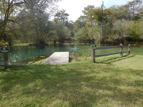 paddling Suwannee River, Otter Springs