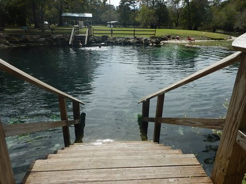 paddling Suwannee River, Otter Springs