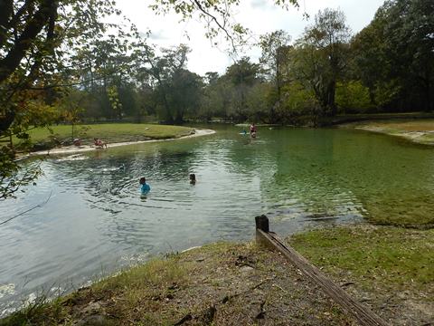 paddling Suwannee River, Otter Springs