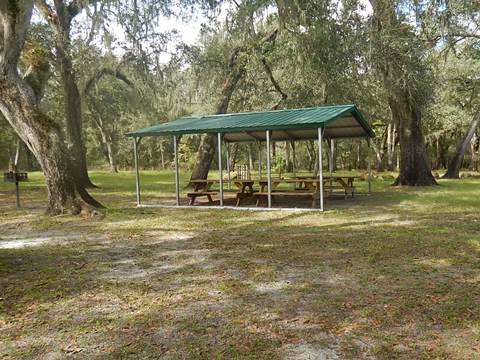 paddling Suwannee River, Otter Springs