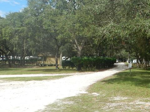 paddling Suwannee River, Otter Springs