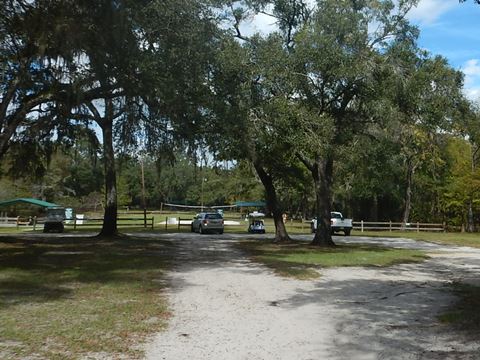 paddling Suwannee River, Otter Springs