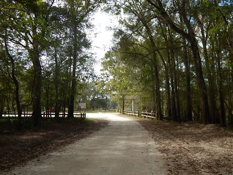 paddling Suwannee River, Shingle Landing, Otter Springs