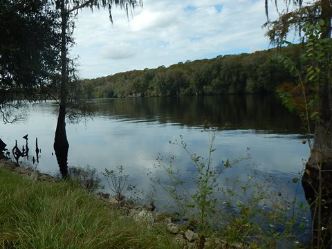 paddling Suwannee River, Shingle Landing, Otter Springs