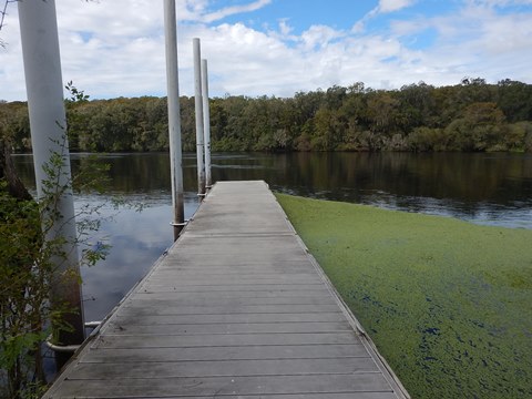 paddling Suwannee River, Shingle Landing, Otter Springs