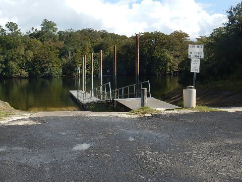 paddling Suwannee River, Joe Anderson Fanning Springs