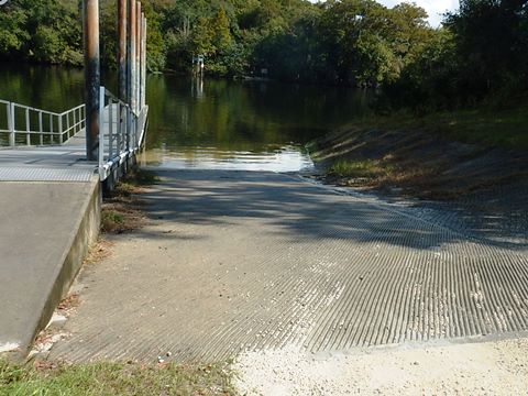 paddling Suwannee River, Joe Anderson Fanning Springs