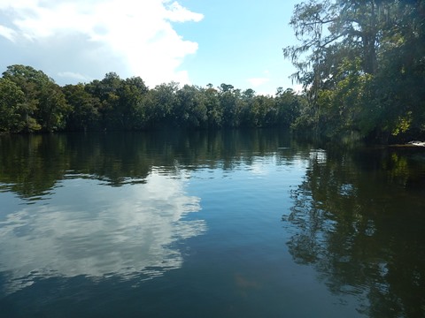 paddling Suwannee River, Joe Anderson Fanning Springs