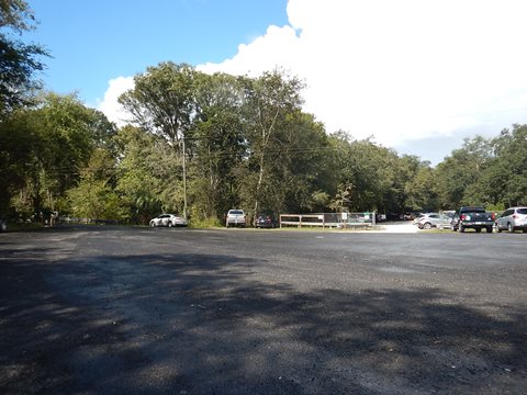 paddling Suwannee River, Joe Anderson Fanning Springs