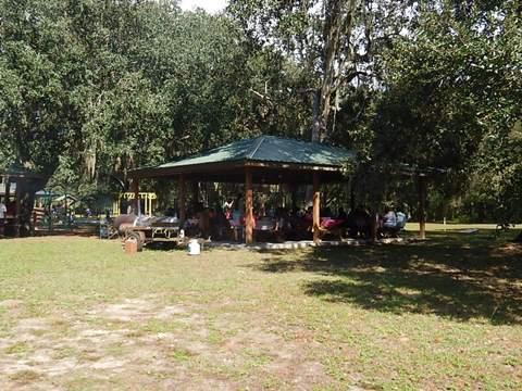 paddling Suwannee River, Joe Anderson Fanning Springs