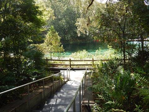 paddling Suwannee River, Fanning Springs SP