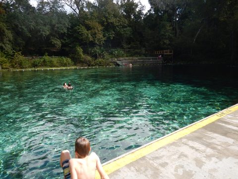 paddling Suwannee River, Fanning Springs SP