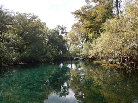 paddling Suwannee River, Fanning Springs SP