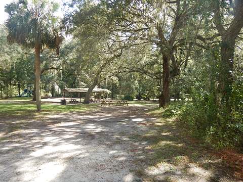 paddling Suwannee River, Fanning Springs SP