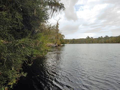 paddling Suwannee River, Hinton Landing