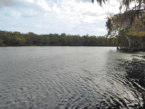 paddling Suwannee River, Hinton Landing