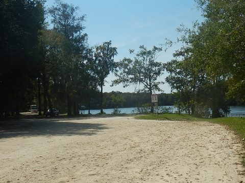 paddling Suwannee River, Clay Landing