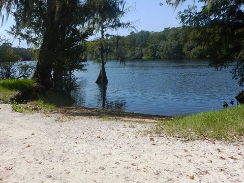 paddling Suwannee River, Clay Landing