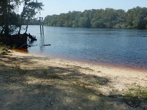 paddling Suwannee River, Clay Landing