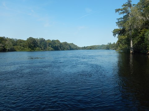 paddling Suwannee River, Clay Landing