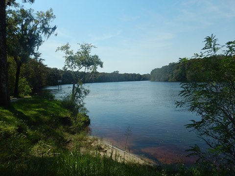 paddling Suwannee River, Clay Landing