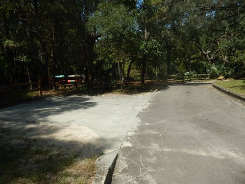 paddling Suwannee River, Manatee Springs SP